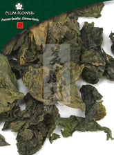 昆布,未硫化的海带草本植物